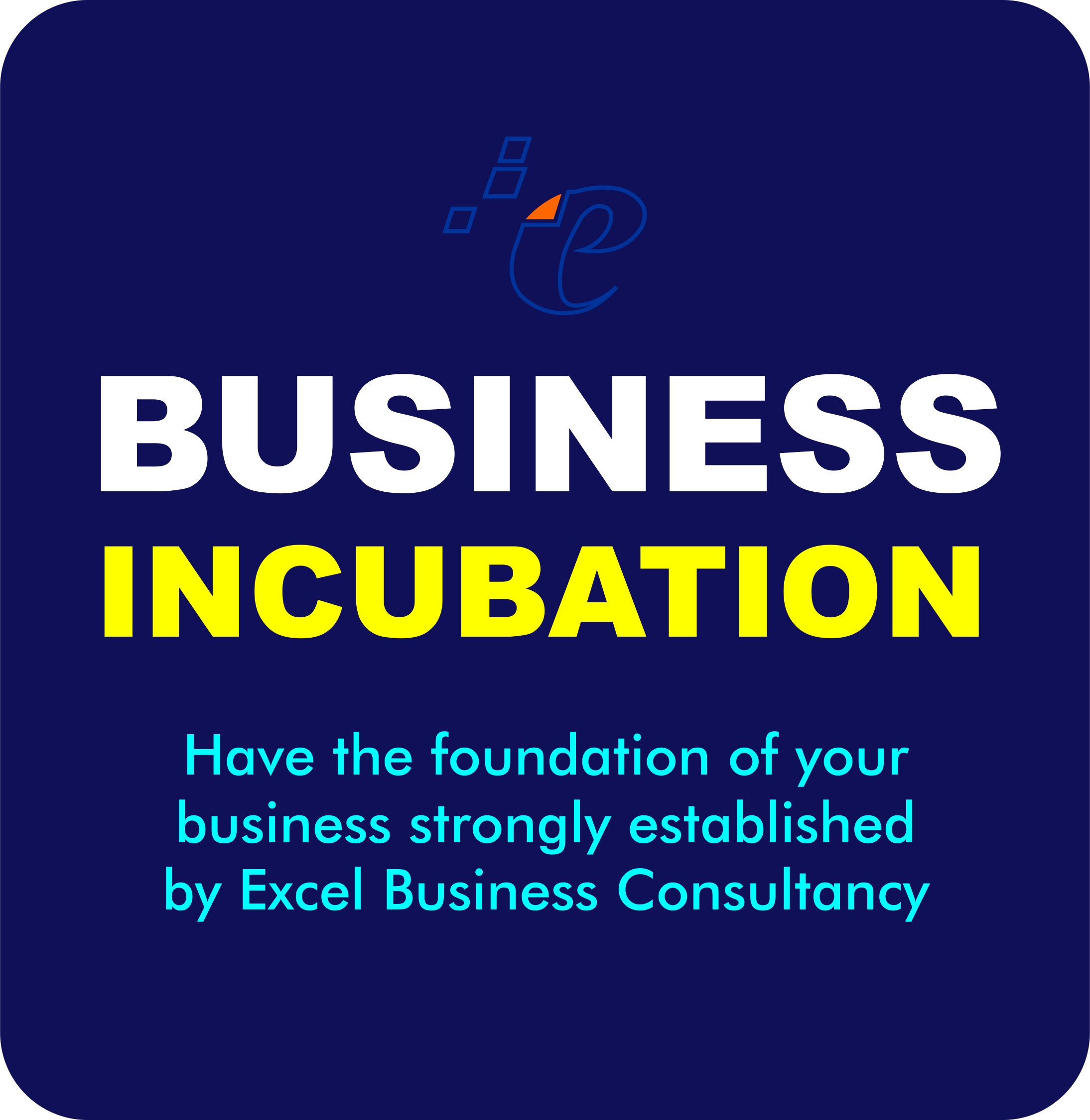 Business Incubation